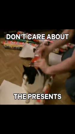 CAT CHRISTMAS