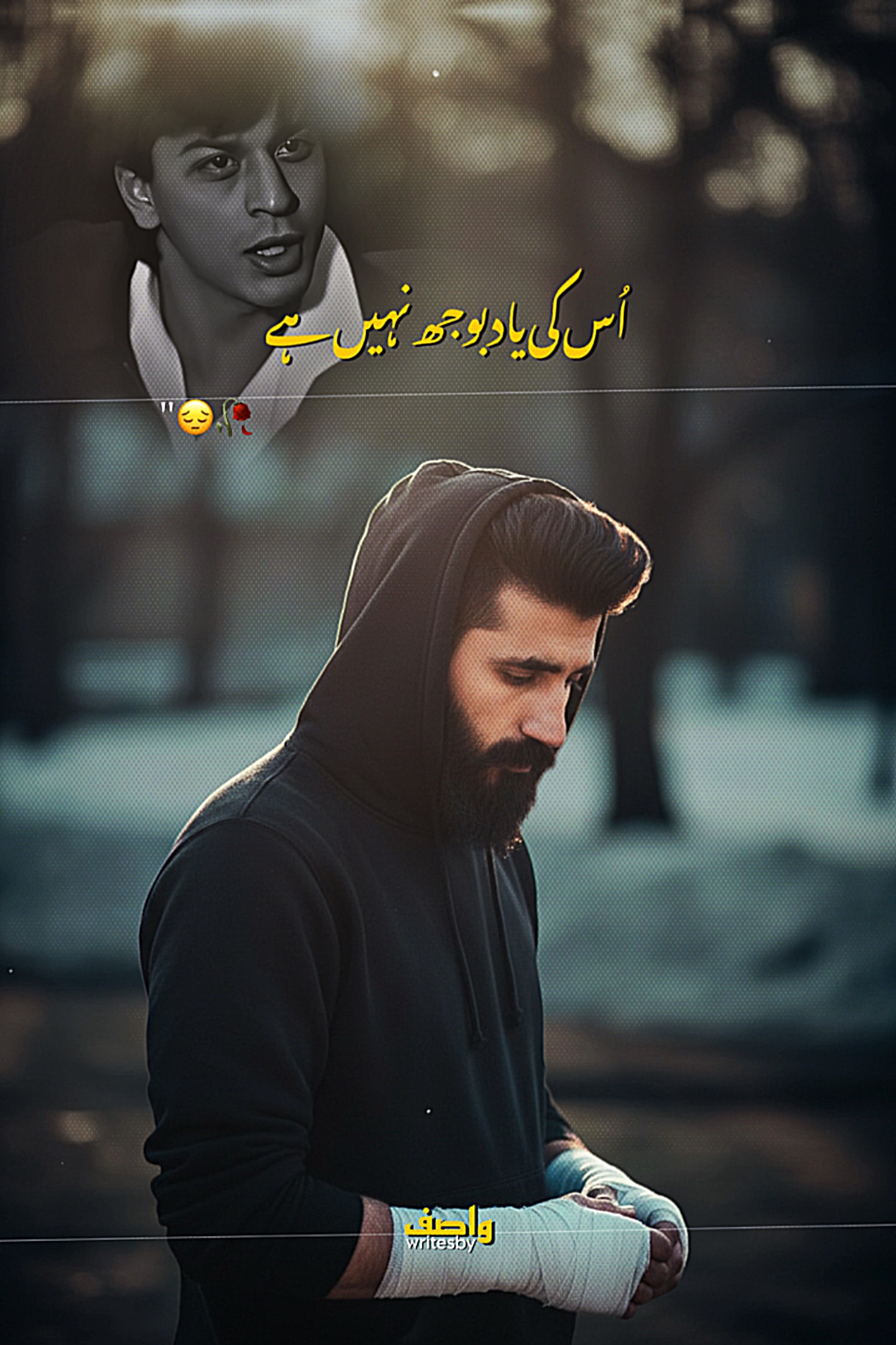 Cover Picture