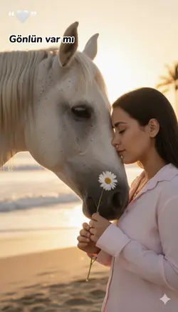 Beyaz at şablonu 🤍