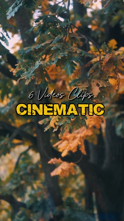 Cinématique 6 Vidéos 