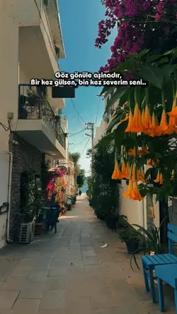 fon müziği şablon