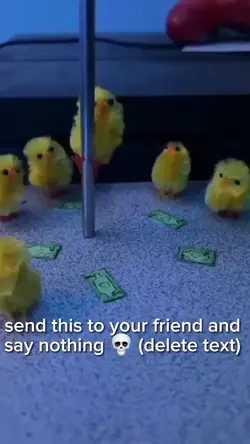 Shimmy shimmy