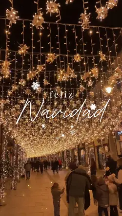 navidad dump