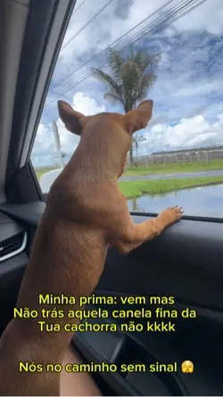 Pinsher