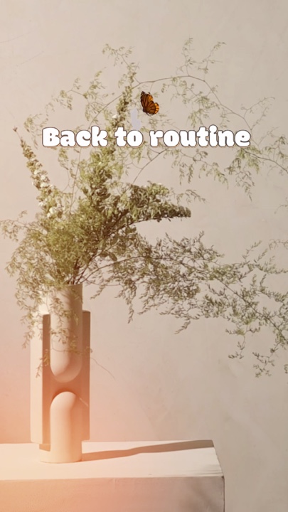 De volta à rotina