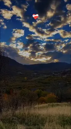 müziğin uyumu nasıl