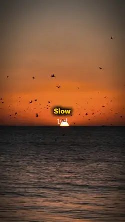1vd Slow+Màu