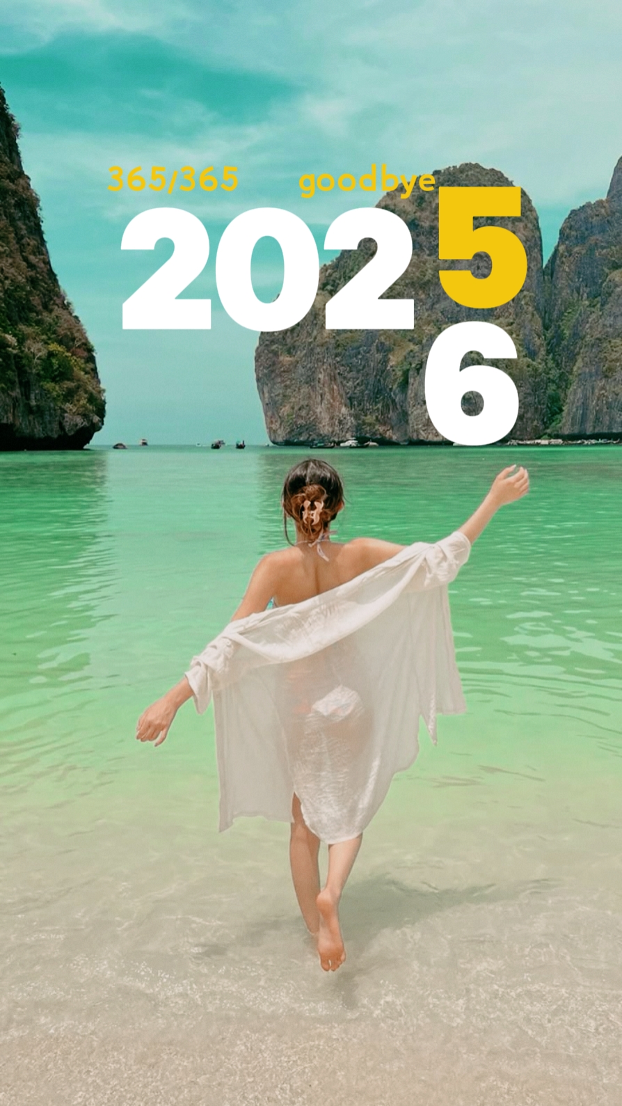 goodbye 2025