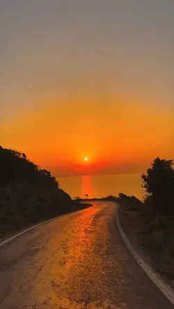 filter senja