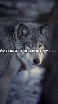 I’m moving different