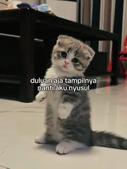 foto live kata kata 