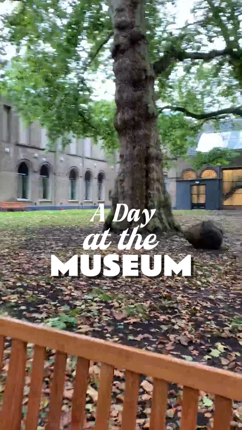 a day at the museum