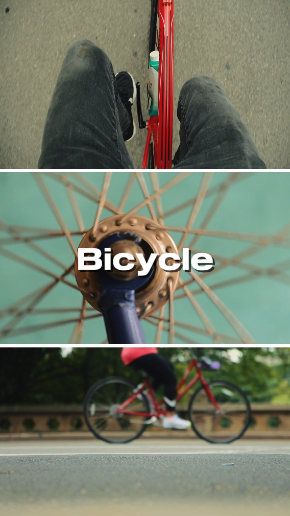 Bicicleta