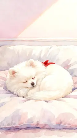 산책 전 4컷 감성 숏폼 템플릿