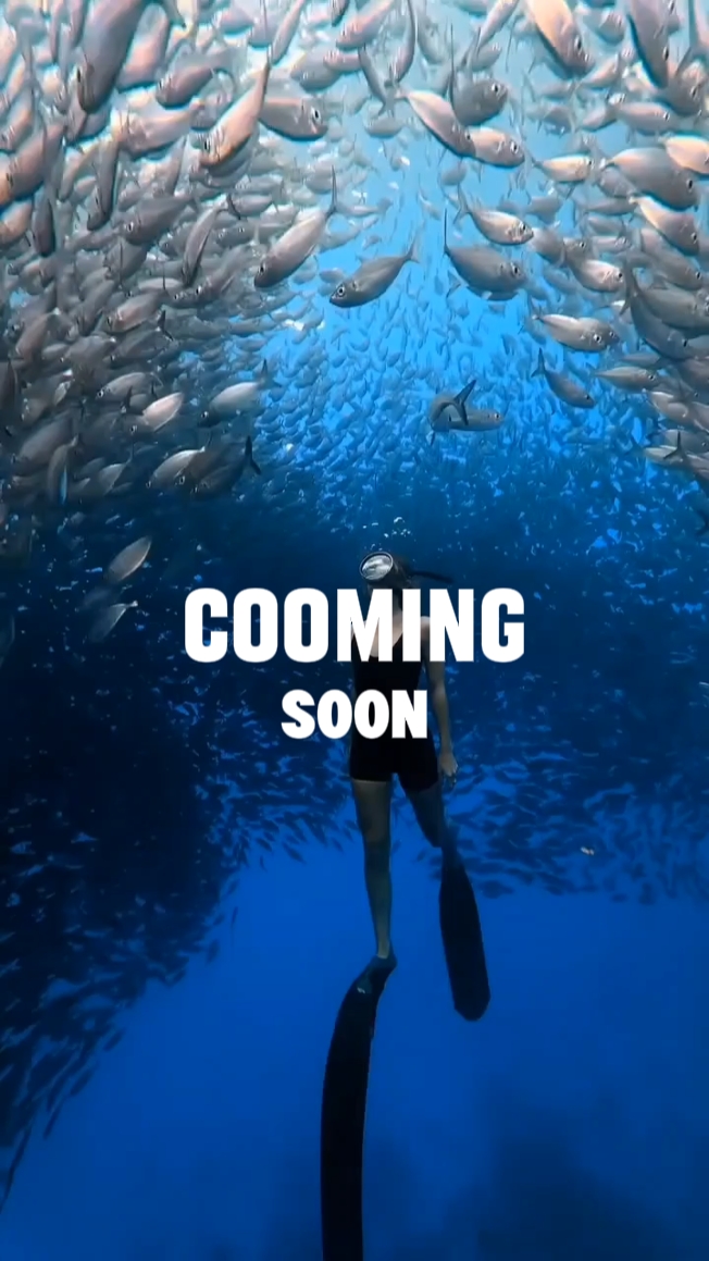 opening