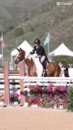 Hunter jumper