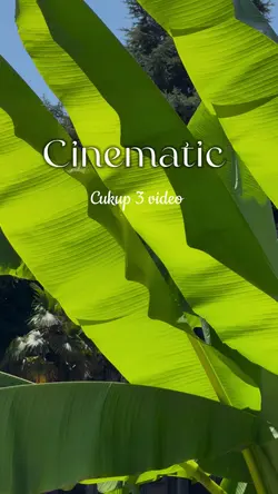 cinematic slow 3 vid