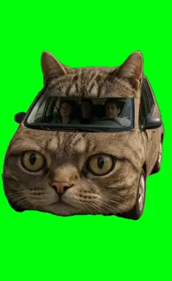 The cat mobile