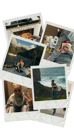 january recap