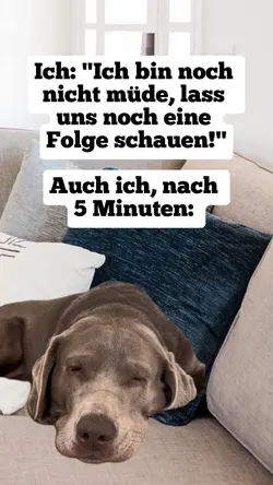 Schlafender Hund