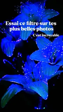 Essai ce filtre !