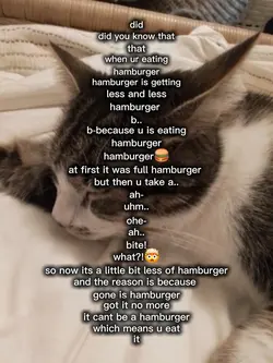 hamburger