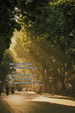 tớ sẽ nhìn cậu...