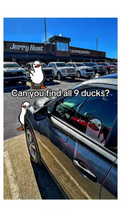 Find all 9 ducks