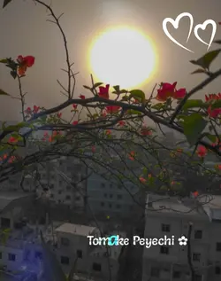 ooh tomake peyechi