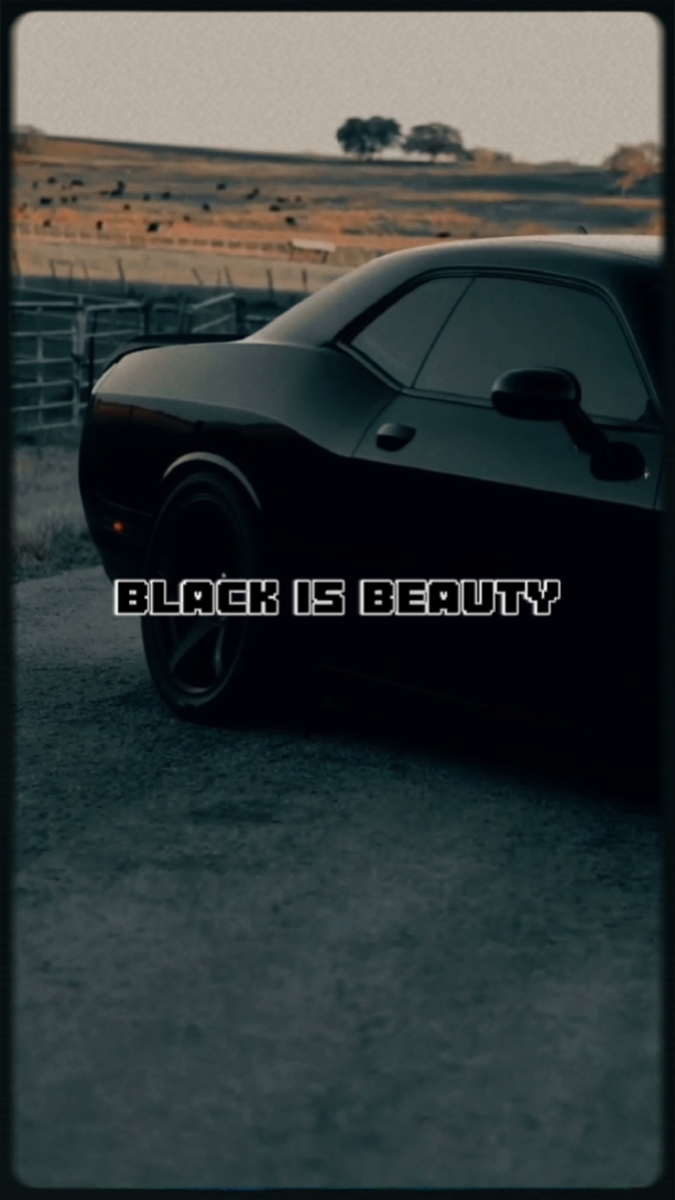 El negro es hermoso