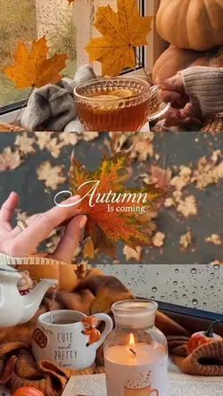Autumn is coming 