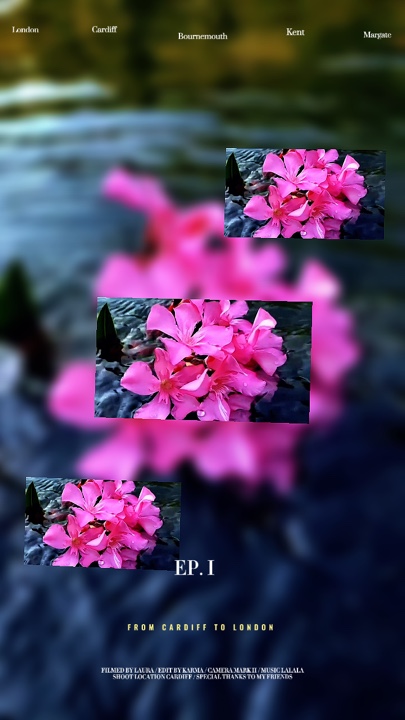 6 video or photo 