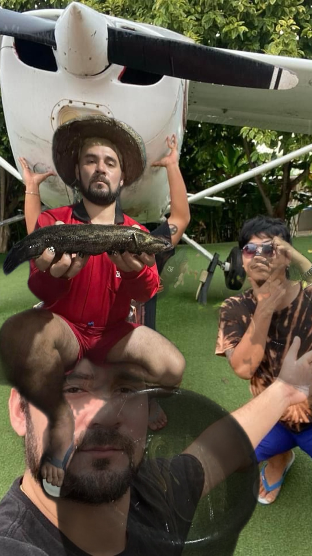 ดอกกระเจียวบาน remix