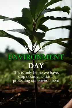 World  EnvironmentDa