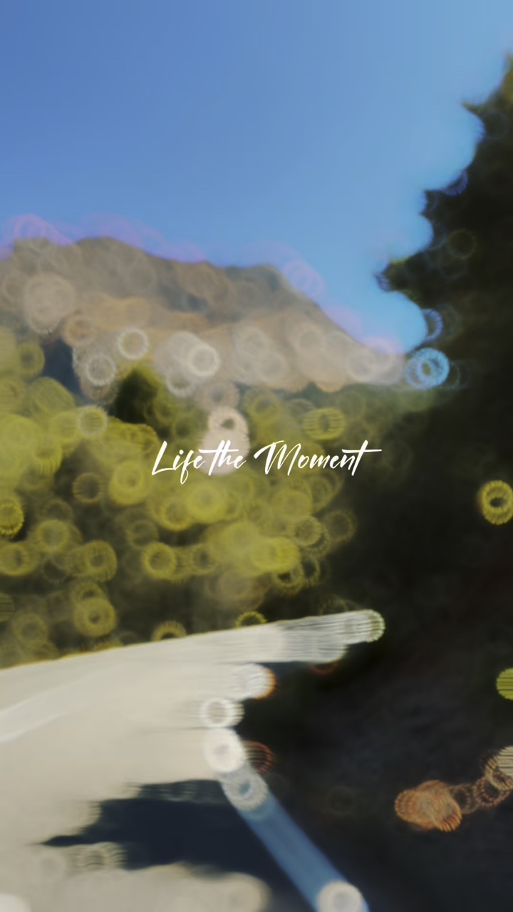 Vida el Momento 
