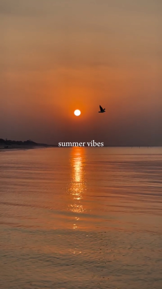 夏日氛围