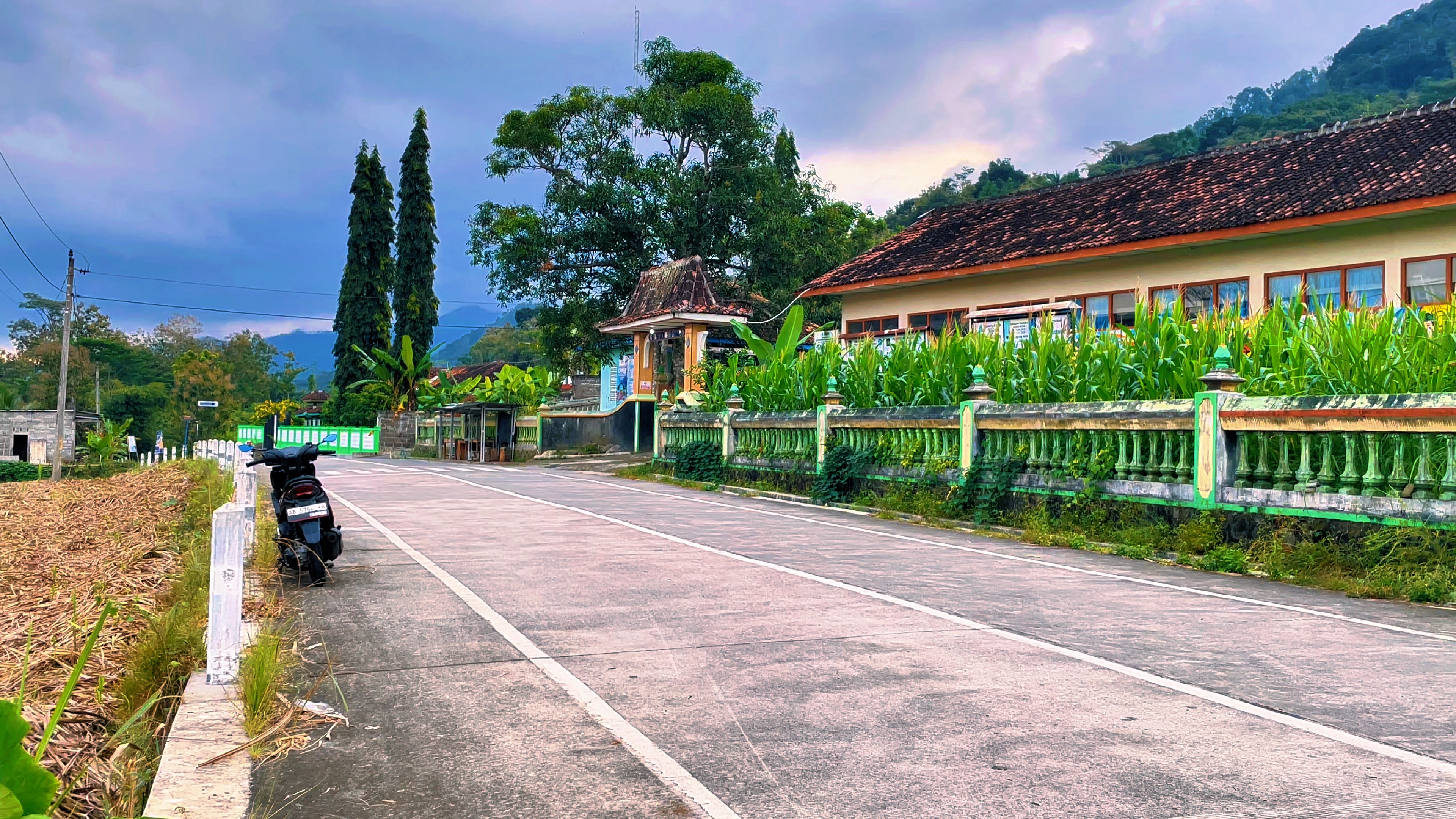 Cover Picture