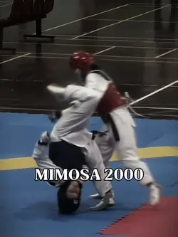 Mimosa 2000