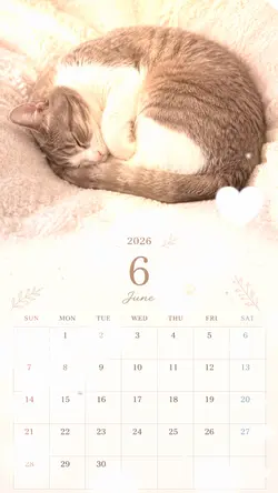 6月のカレンダー