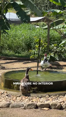 Cidade x interior 