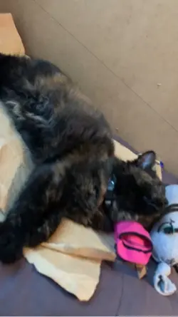 MOUAHAHAHAHAHAHHHAHA