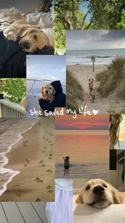 Dog day ๐ค