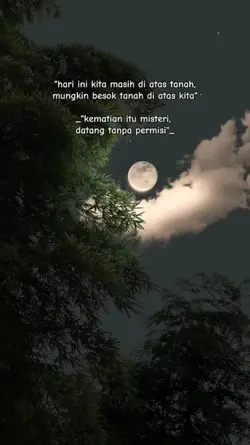 Quotes