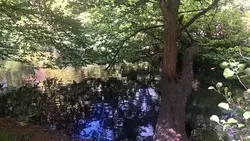 Zatrzymajmy czas