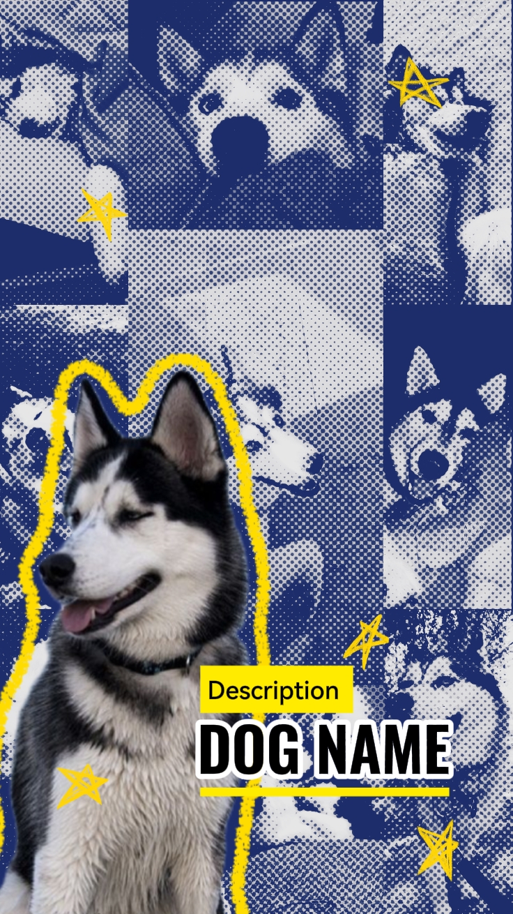 Introducción de mascotas