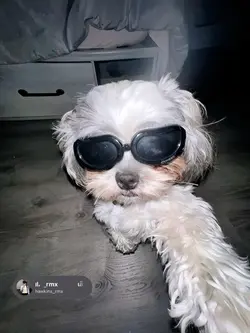 👻