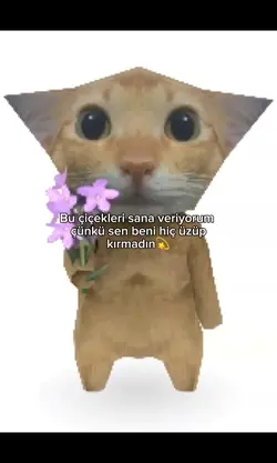 bu çiçekler sana