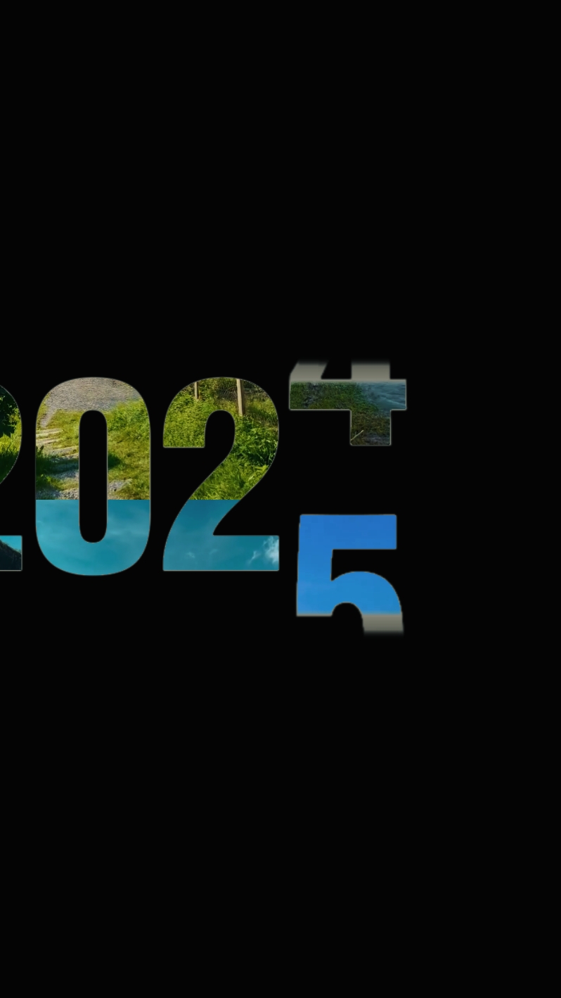Resumen de 2025