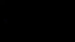 AE LIKE TEXT