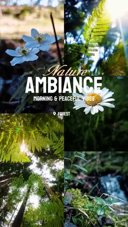 Nature ambience